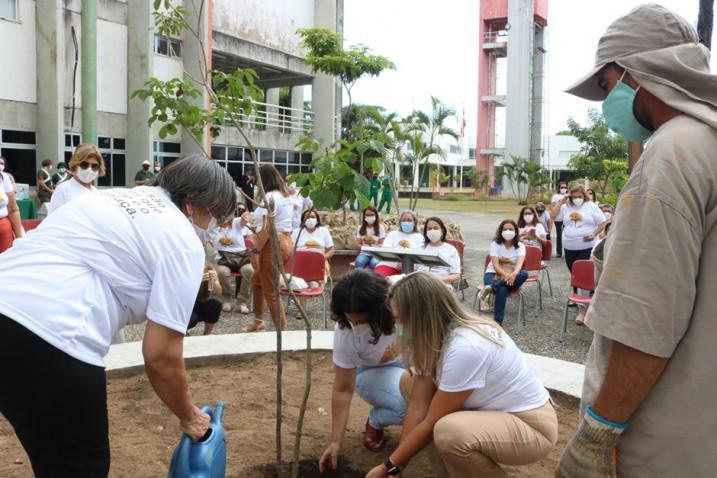 Plantio de um pé de ipê-amarelo no Campus Cabula