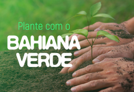 Plante com o Bahiana Verde