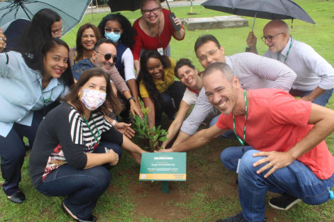 Bahiana celebra el Día Mundial del Medio Ambiente plantando plántulas