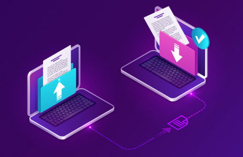 External Transfer Selection Process – 2024.1